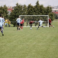 IMG 1388